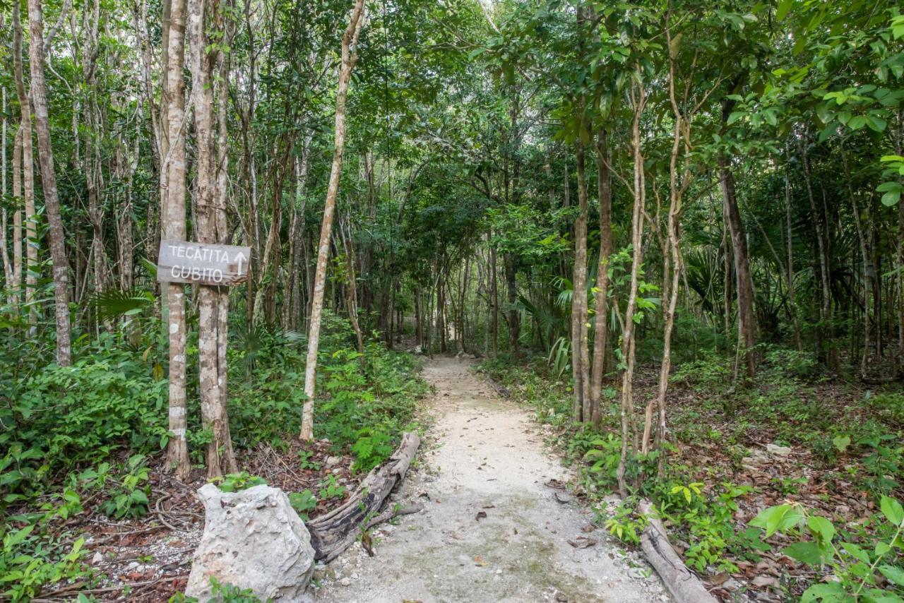 Hotel Casa Costal - Glamping Experience Puerto Morelos Zewnętrze zdjęcie