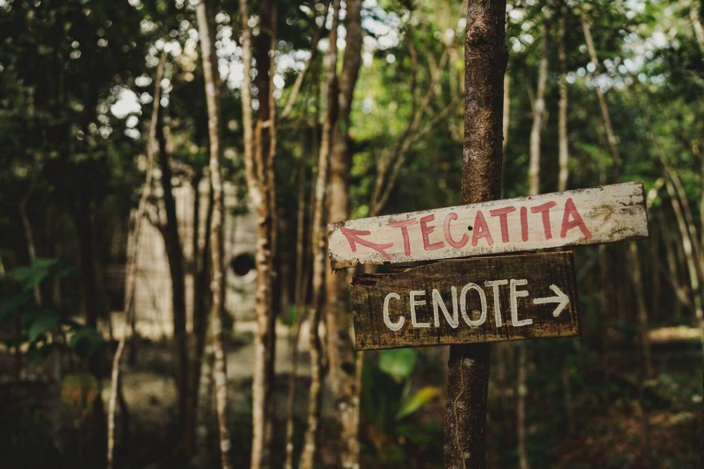 Hotel Casa Costal - Glamping Experience Puerto Morelos Zewnętrze zdjęcie