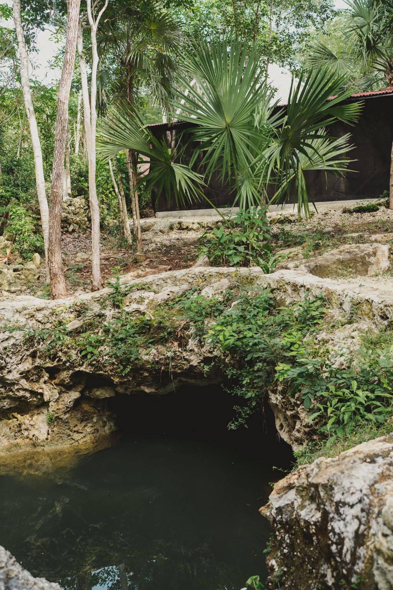 Hotel Casa Costal - Glamping Experience Puerto Morelos Pokój zdjęcie